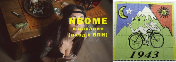 дурь Инсар