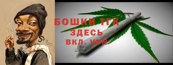 дурь Инсар
