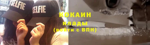 дурь Инсар