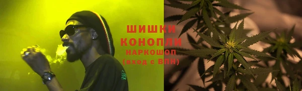 дурь Инсар
