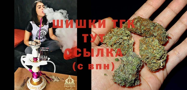 a pvp Инта